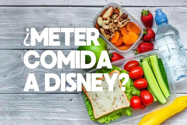 ¿Se Puede Meter Comida a Disneyland?
